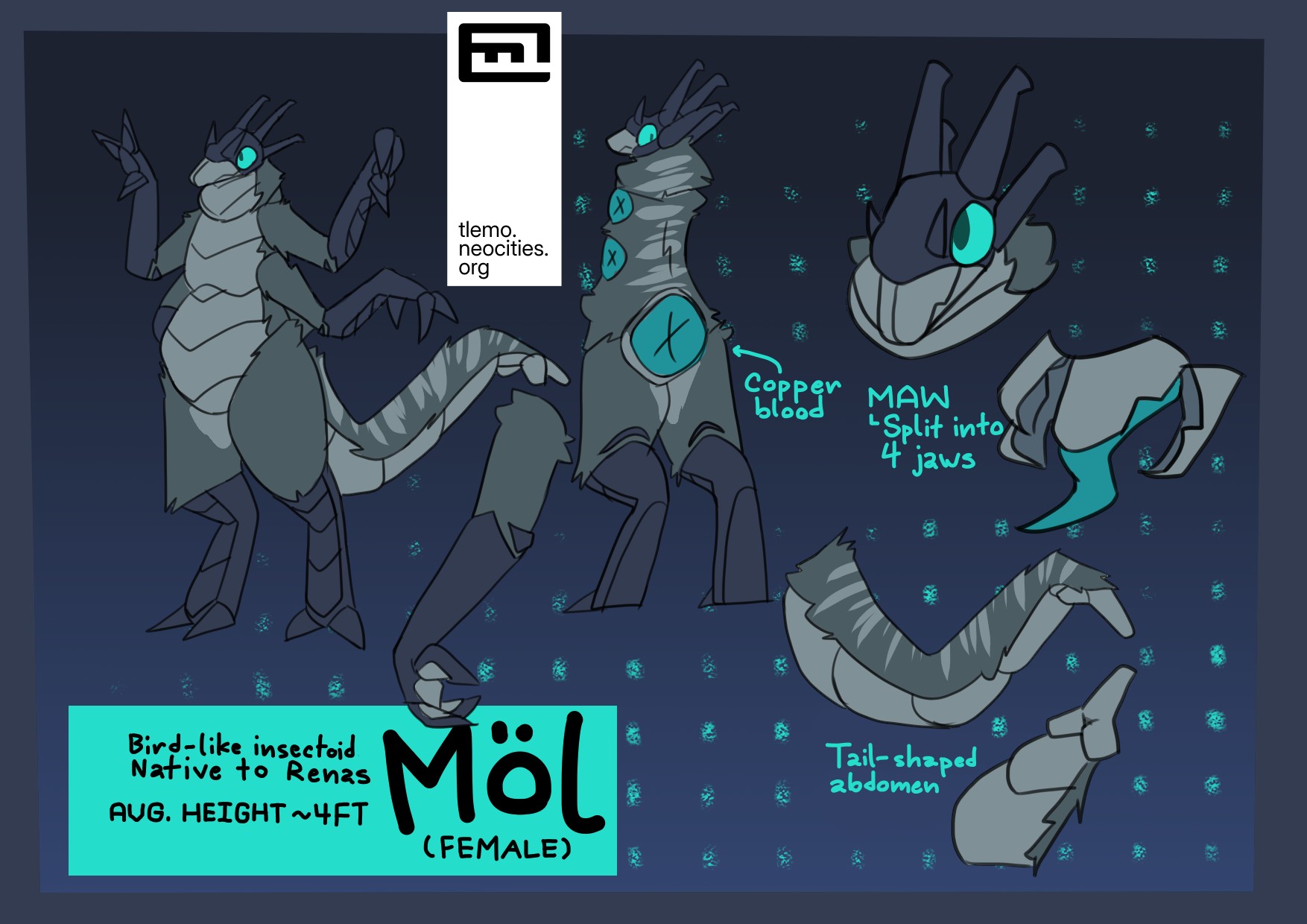 Reference sheet for the Möl species (plural Miļ). Includes shots of the full body (front and back), face, mouth, and abdomen.