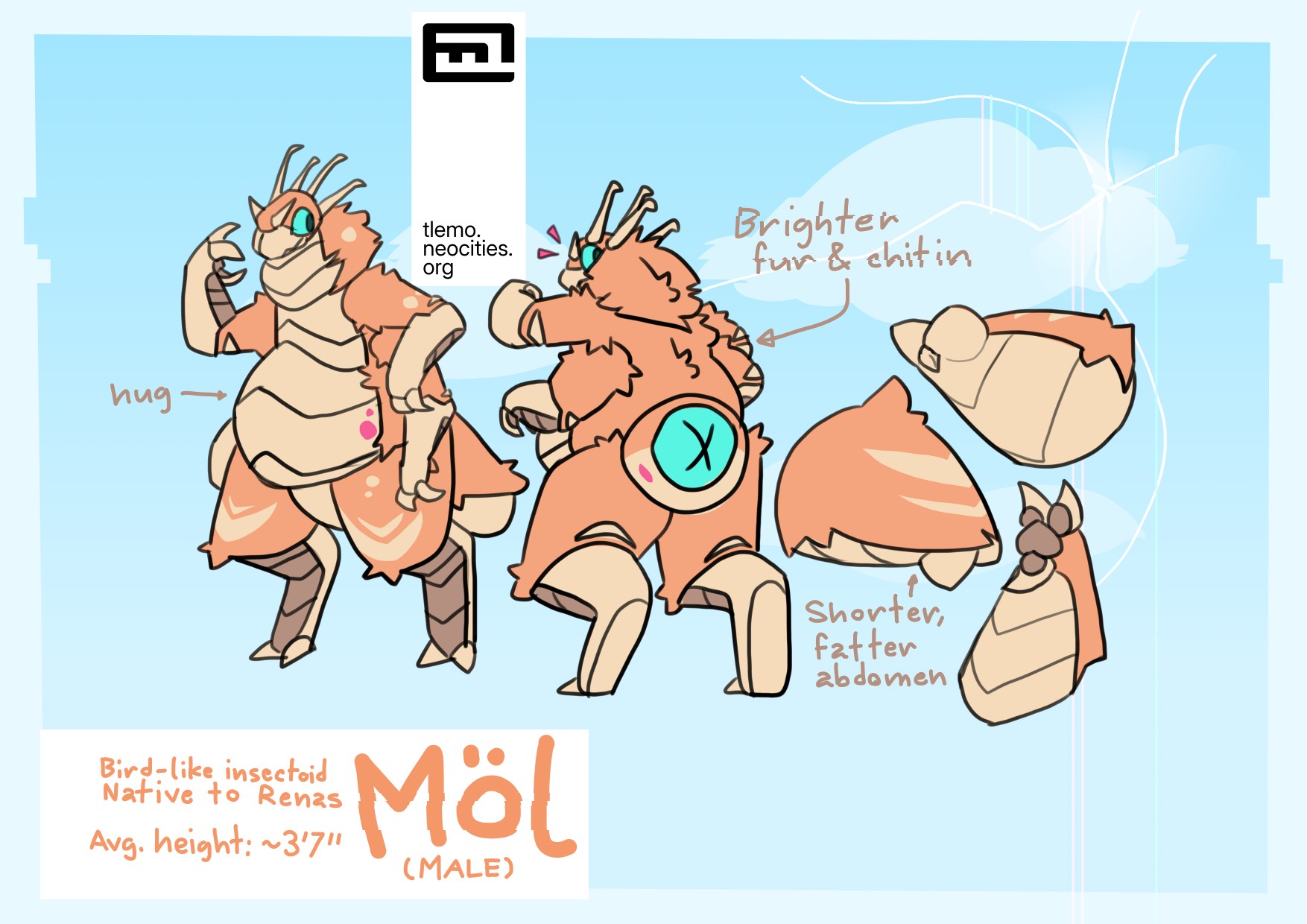 Möl reference sheet (MALE)